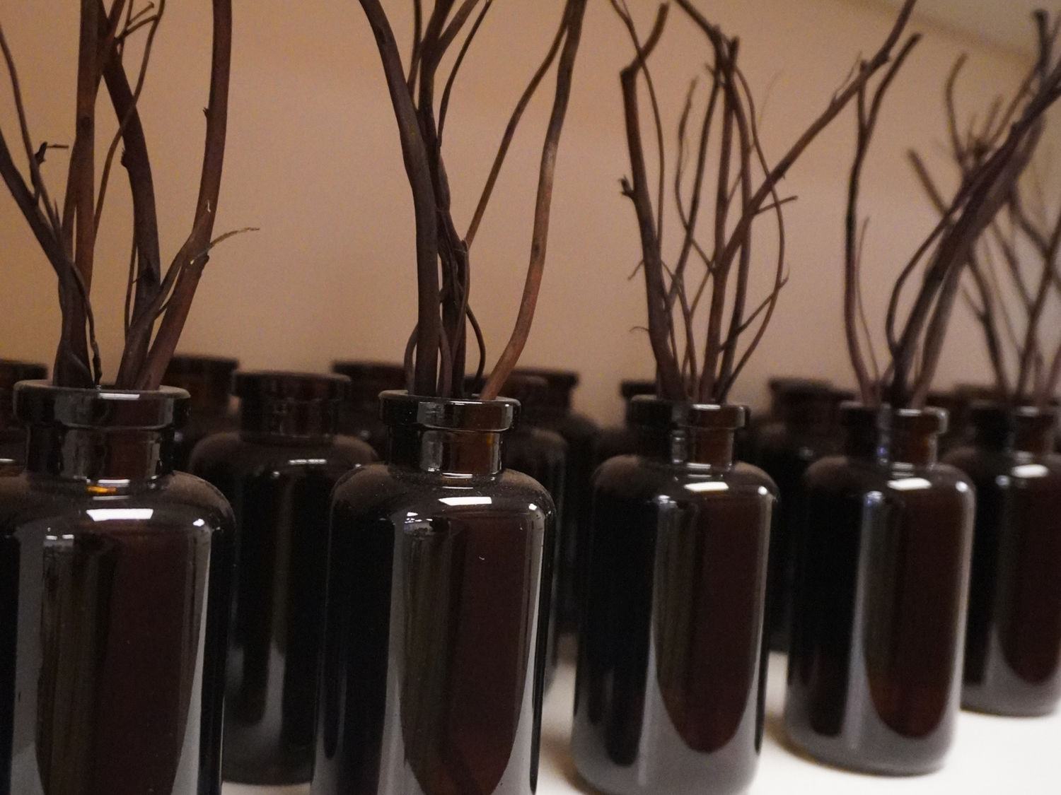 Bottle + Reeds